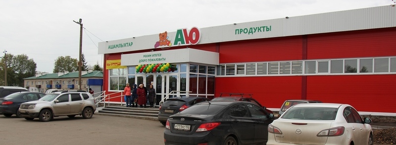 АЮ_Дмитриевка_2-1.JPG